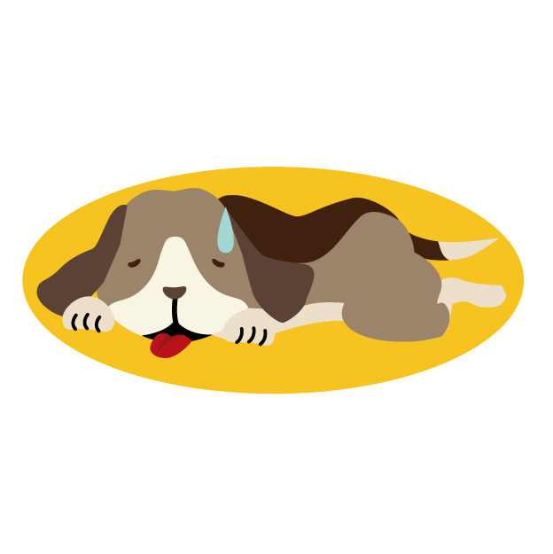 犬 夏バテ,犬 夏バテ 症状,犬 夏バテ 食べない,犬 夏バテ 対処法