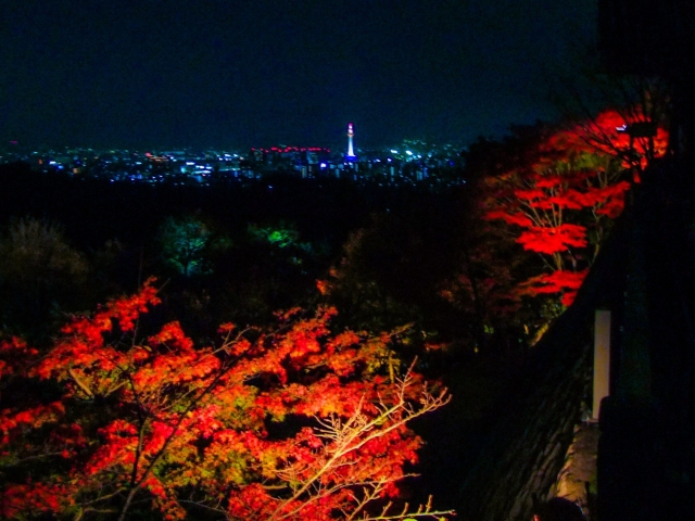 京都,ライトアップ,紅葉,デート,服装