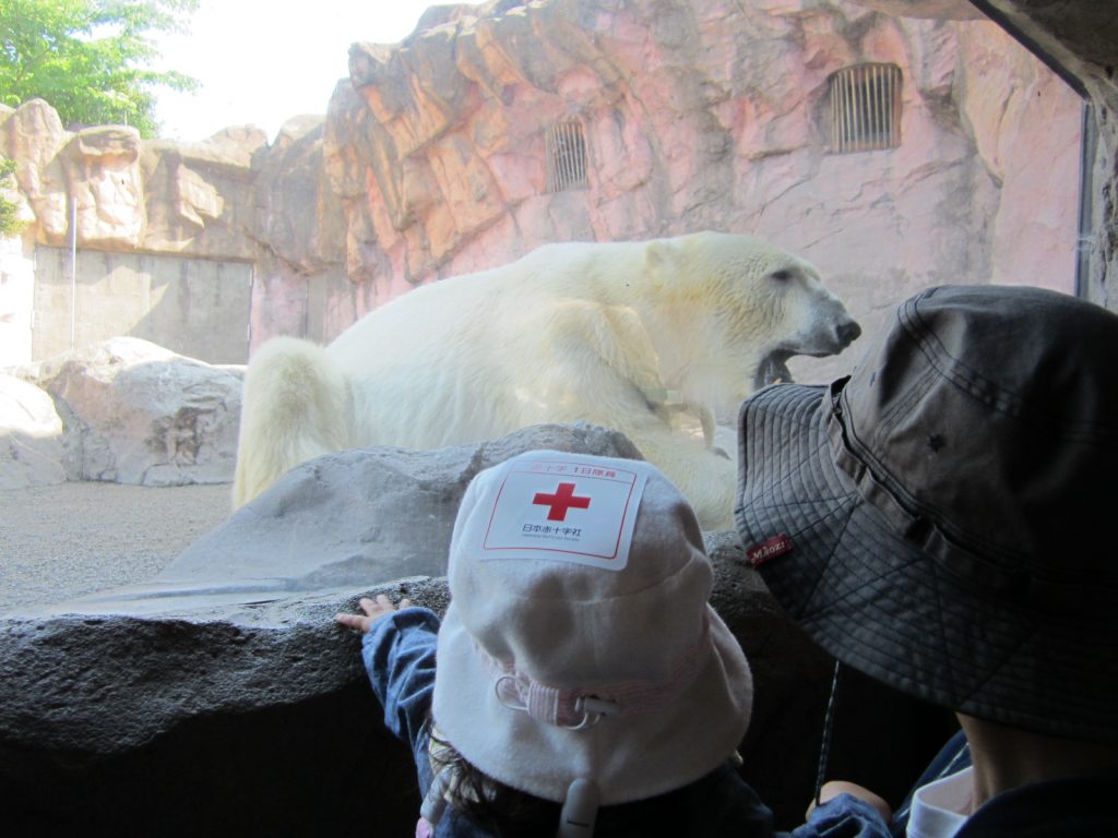 八木山動物園に3歳と1歳の子供と行ってきたのでお役立ち情報をお知らせ