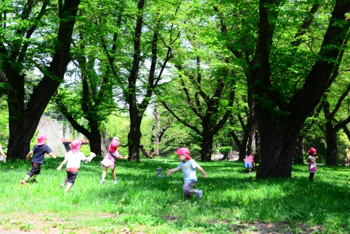 県民の森,宮城県 県民の森,宮城県 県民の森 子供,宮城県 県民の森 遊具,宮城県 県民の森 アクセス,宮城県 県民の森 駐車場